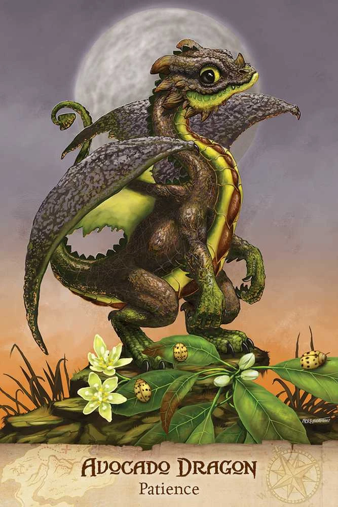 US Games Systems Field Guide To Garden Dragons Taro Kortos