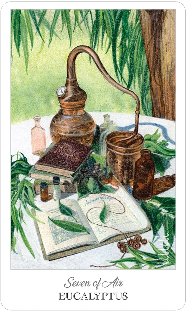 US Games Systems Herbcrafter's Taro Kortos
