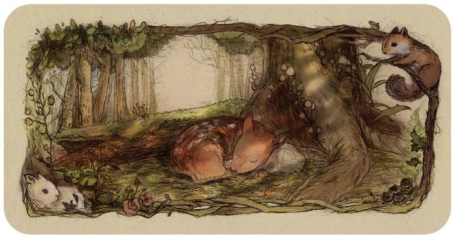 U.S. Games Systems Inspirational Whispering Woods kortos
