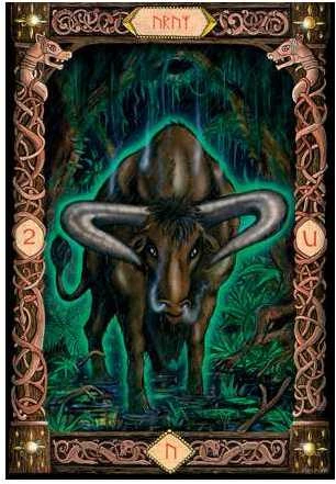 Us Games Systems JAV žaidimų sistemos Power Of The Runes Kortos
