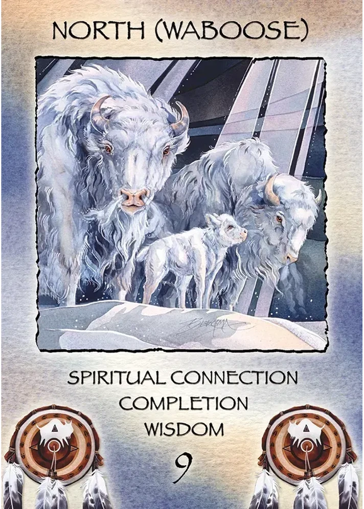 US Games Systems Spirit Of The Wheel Meditation Kortos