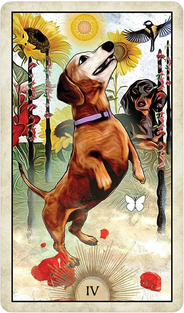 US Games Systems Wise Dog Taro Kortos