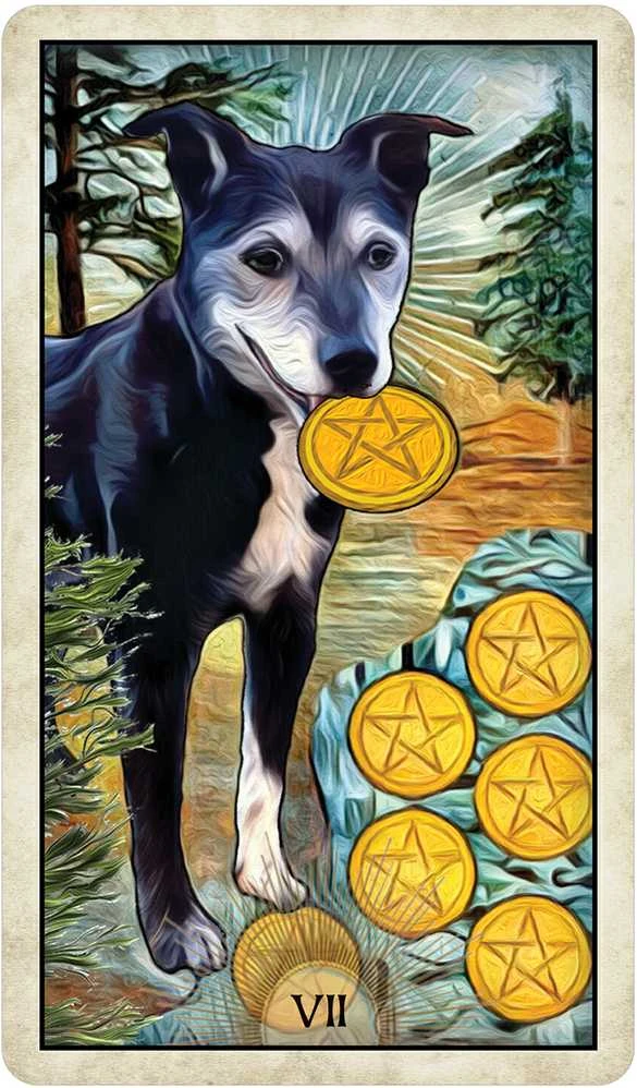 US Games Systems Wise Dog Taro Kortos