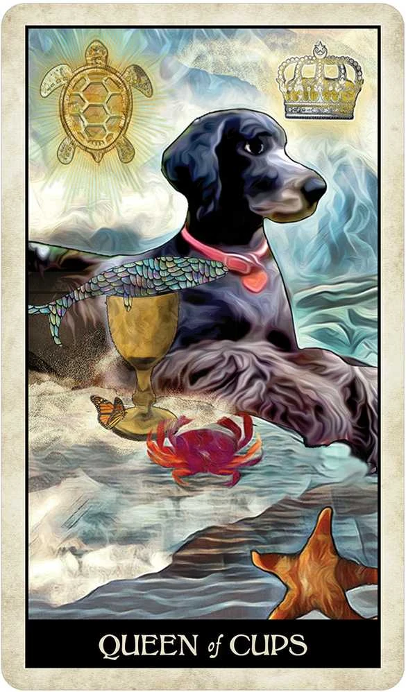 US Games Systems Wise Dog Taro Kortos