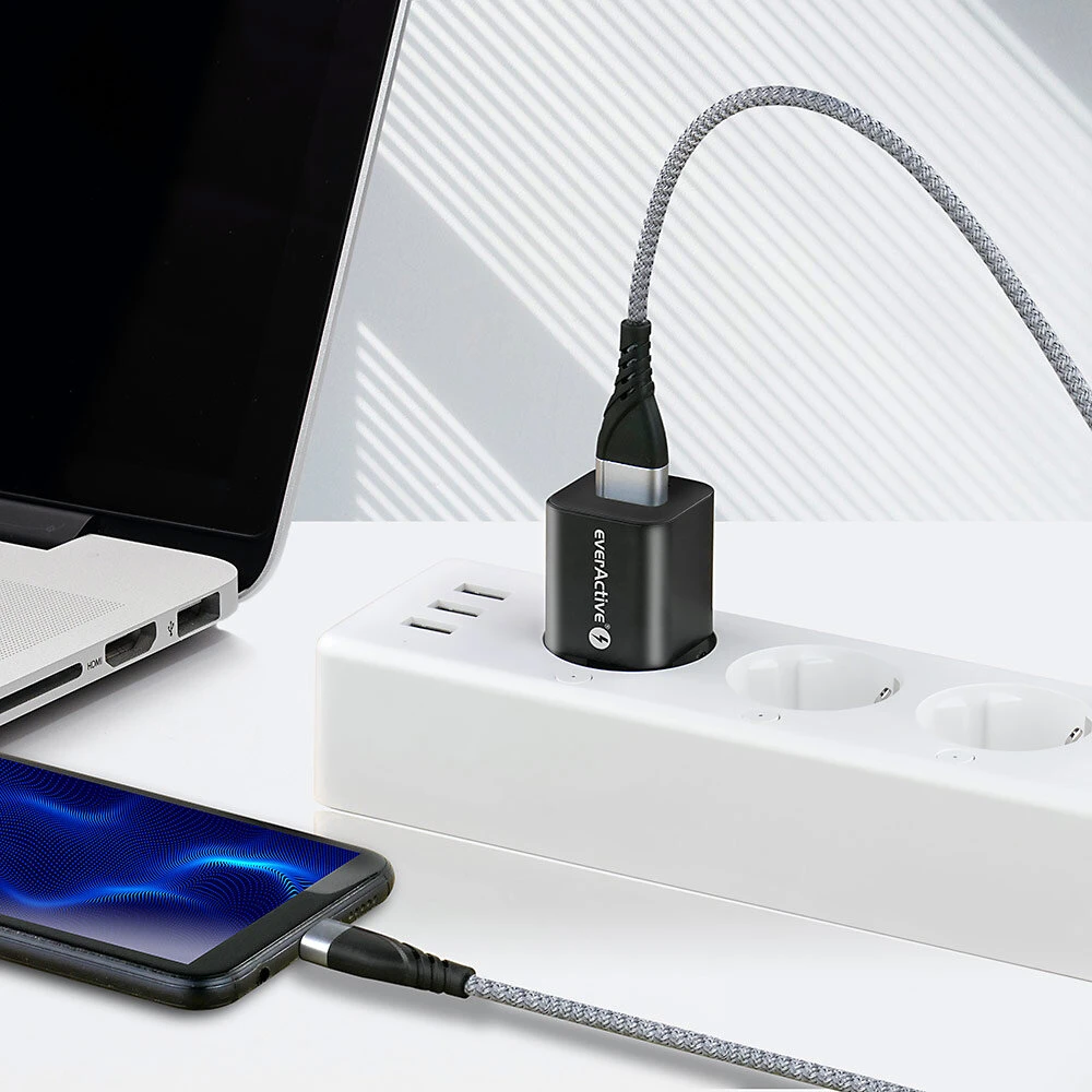 USB-C Įkrovimo Laidas – everActive CBB-1CG, 3 A, 480 Mbps, 1 m, Pilkas