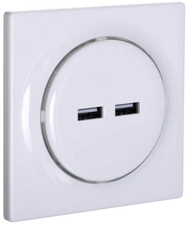 USB šakotuvas – „Fibaro Walli N“ 2 USB šakotuvai