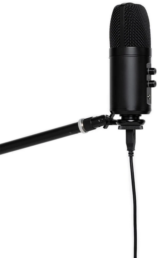 Dvigubas kondensatorinis USB mikrofonas Stagg SUSM60D
