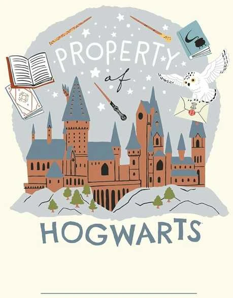 Užrašinė Minkštu Viršeliu - Harry Potter Hedwig Insight Editions