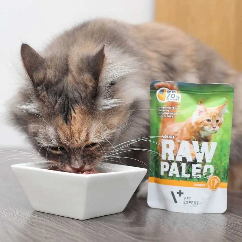 Vetexpert Drėgnas Kačių Maistas - RAW PALEO Kalakutiena 100 g