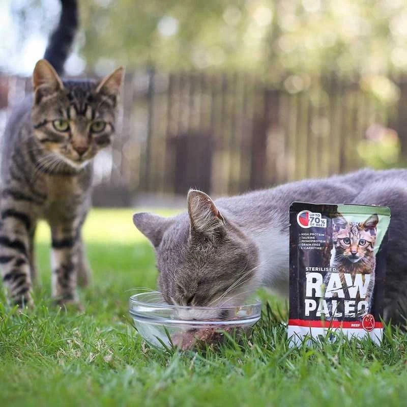 Vetexpert Drėgnas Kačių Maistas - RAW PALEO Suaugusių sterilizuotų kačių Jautiena 100 g