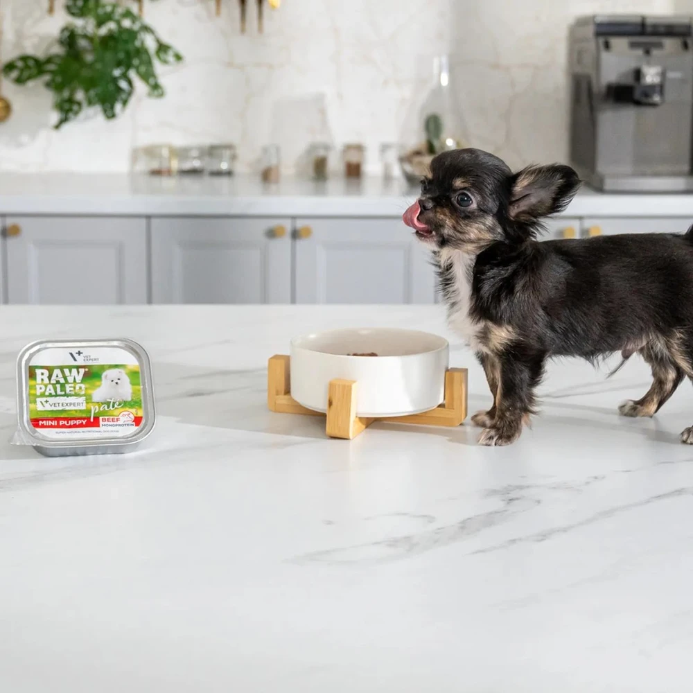 Vetexpert RAW PALEO Pate Mini Puppy jautiena - šlapias maistas šuniukams - 150 g