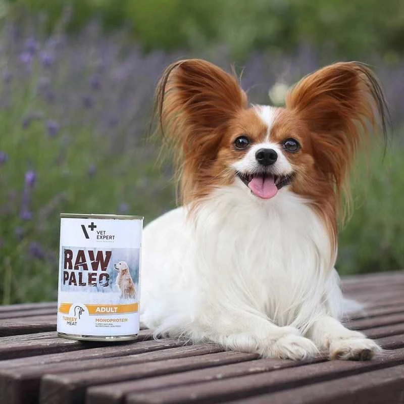 Vetexpert Drėgnas Šunų Maistas - RAW PALEO Monoproteinas Kalakutiena 800g Be Grūdų