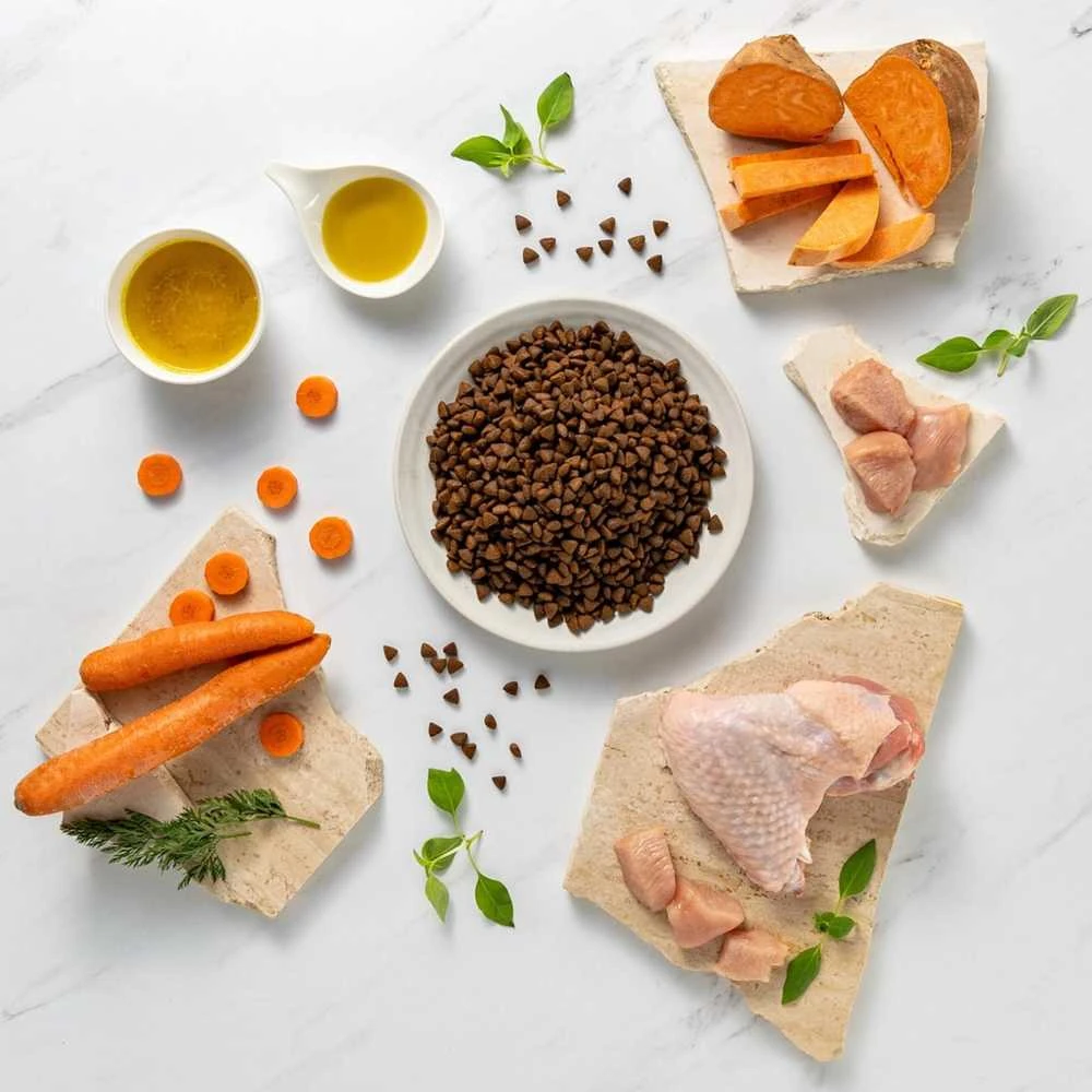 Vetexpert Sausas Šunų Maistas - RAW PALEO Ultra Mini Kalakutienos 2kg Be Grūdų