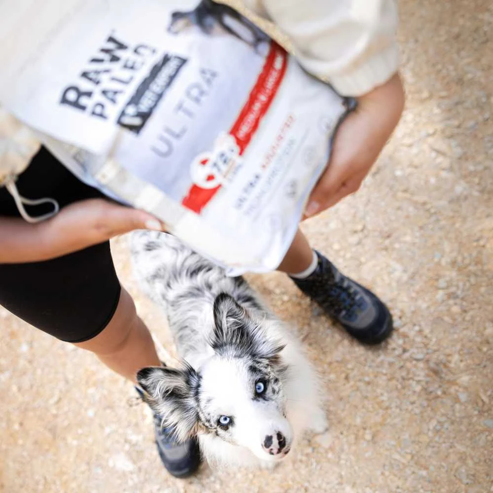 Vetexpert Šunų maistas - RAW PALEO Ultra Medium & Large Puppy jautiena 10 kg