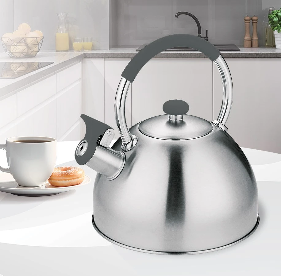 Virdulys MAESTRO MR-1323 stainless steel 2.5 l