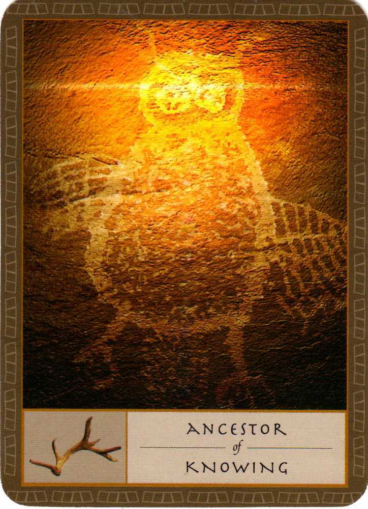 KNYGA Watkins Publishing The Shaman’s Oracle Kortos