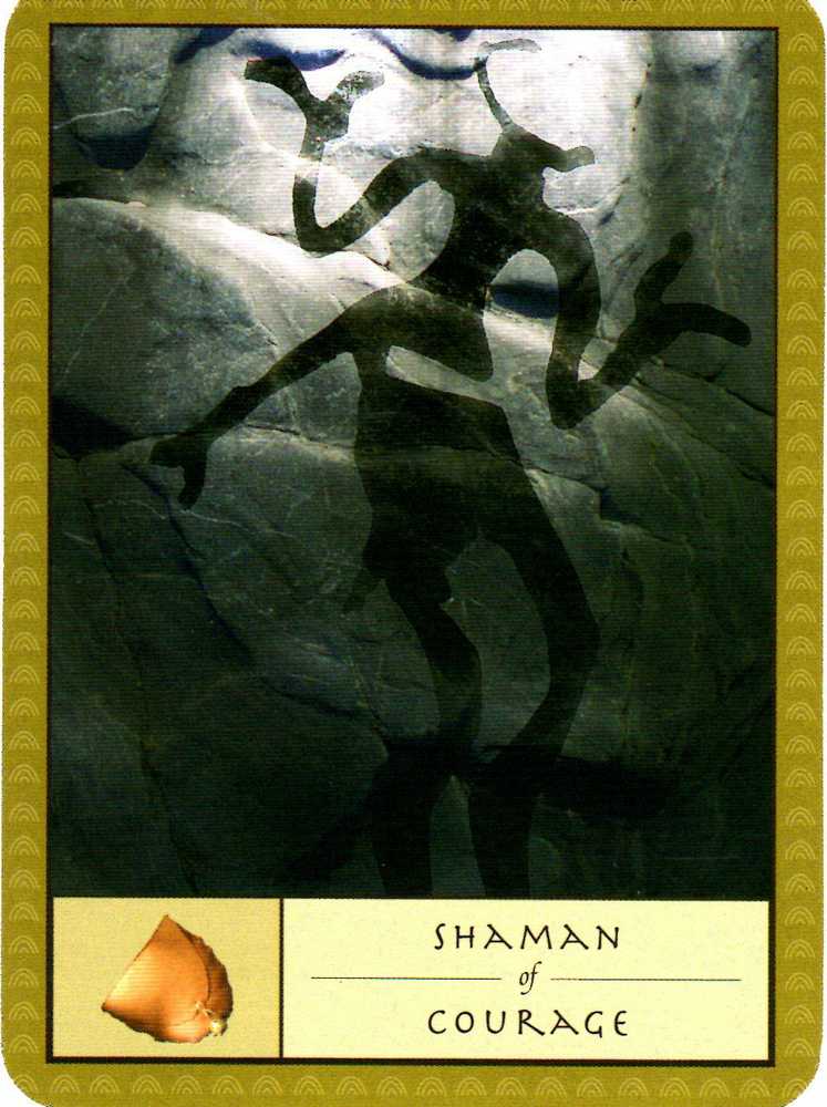 KNYGA Watkins Publishing The Shaman’s Oracle Kortos