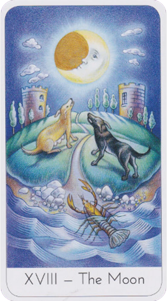 Watkins Publishing The Wisdom Seeker's Tarot Kortos