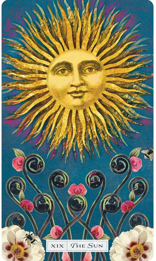 Weiser Books Taro kortų rinkinys - Tarot of the Cosmic Seed, 79 Kortų Kaladė, Instrukcijų Knyga