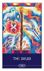 Welbeck Publishing The Celtic Shaman's Pack Kortos (Naujas Leidimas)
