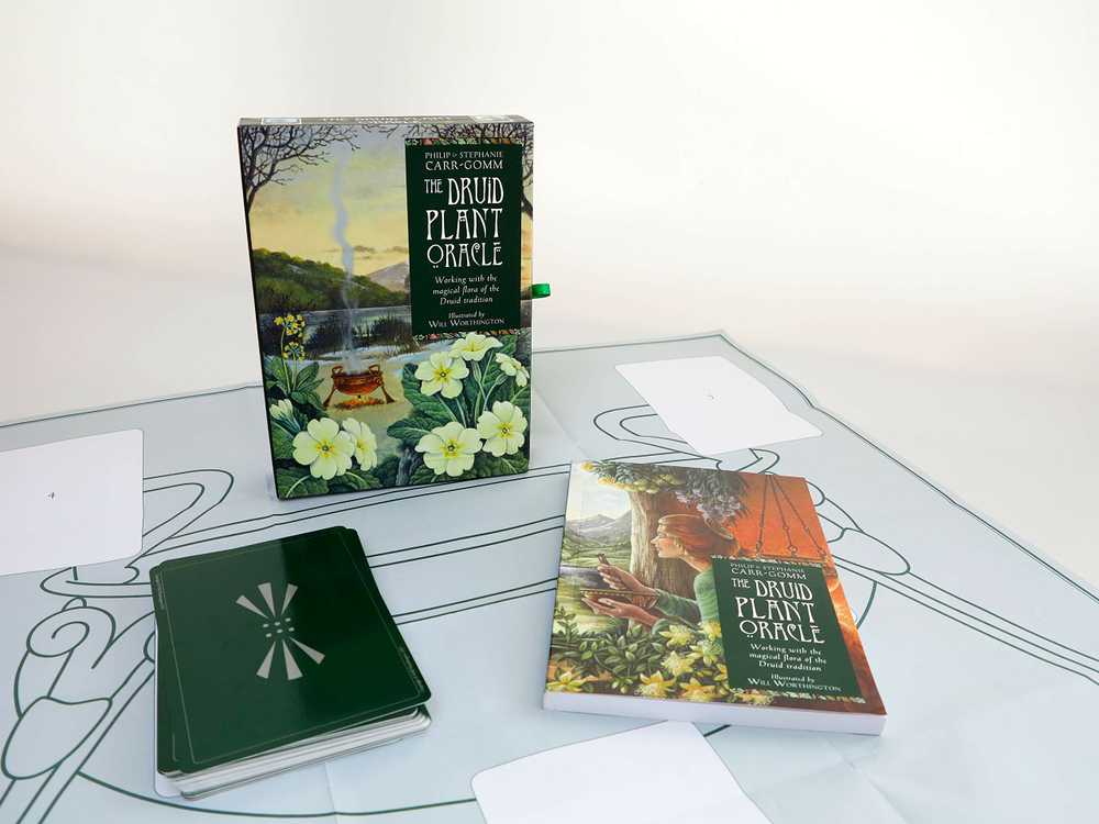 KNYGA Welbeck Publishing The Druid Plant Oracle Kortos