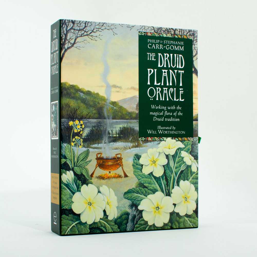 KNYGA Welbeck Publishing The Druid Plant Oracle Kortos