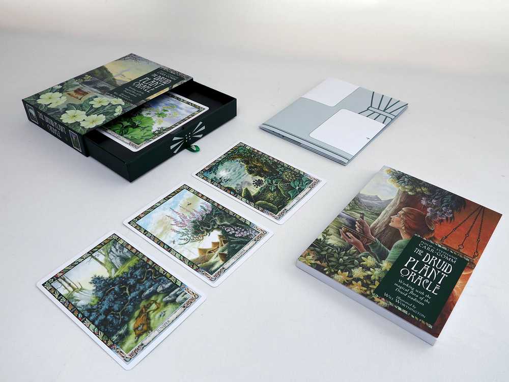 KNYGA Welbeck Publishing The Druid Plant Oracle Kortos