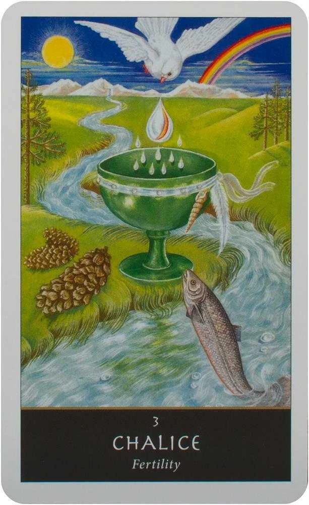 Sally Morningstar Welbeck Publishing The Witches Oracle Kortos