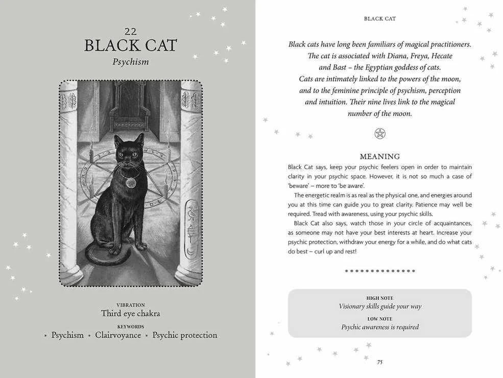 Sally Morningstar Welbeck Publishing The Witches Oracle Kortos