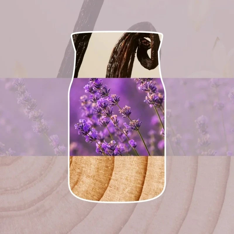 Yankee Home kvapni žvakė YANKEE CANDLE DRIED LAVENDER & OAK 110 g maža