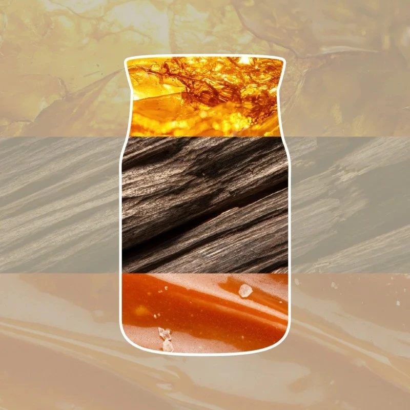 Yankee Candle Aromatinė žvakė Signature glass medium Amber - Sandalwood 368 g