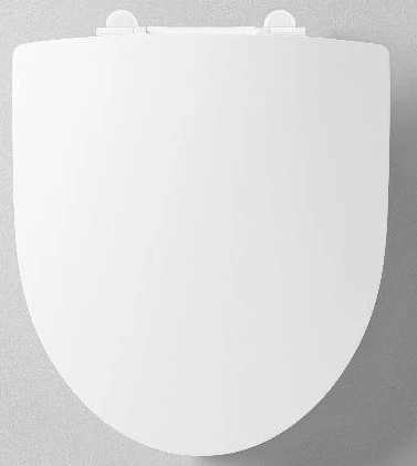 Dangtis WC IFO, SPIRA, lėtai nusileidžiantis