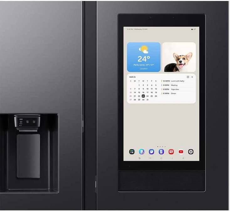 Samsung RS90F66BEFEO
