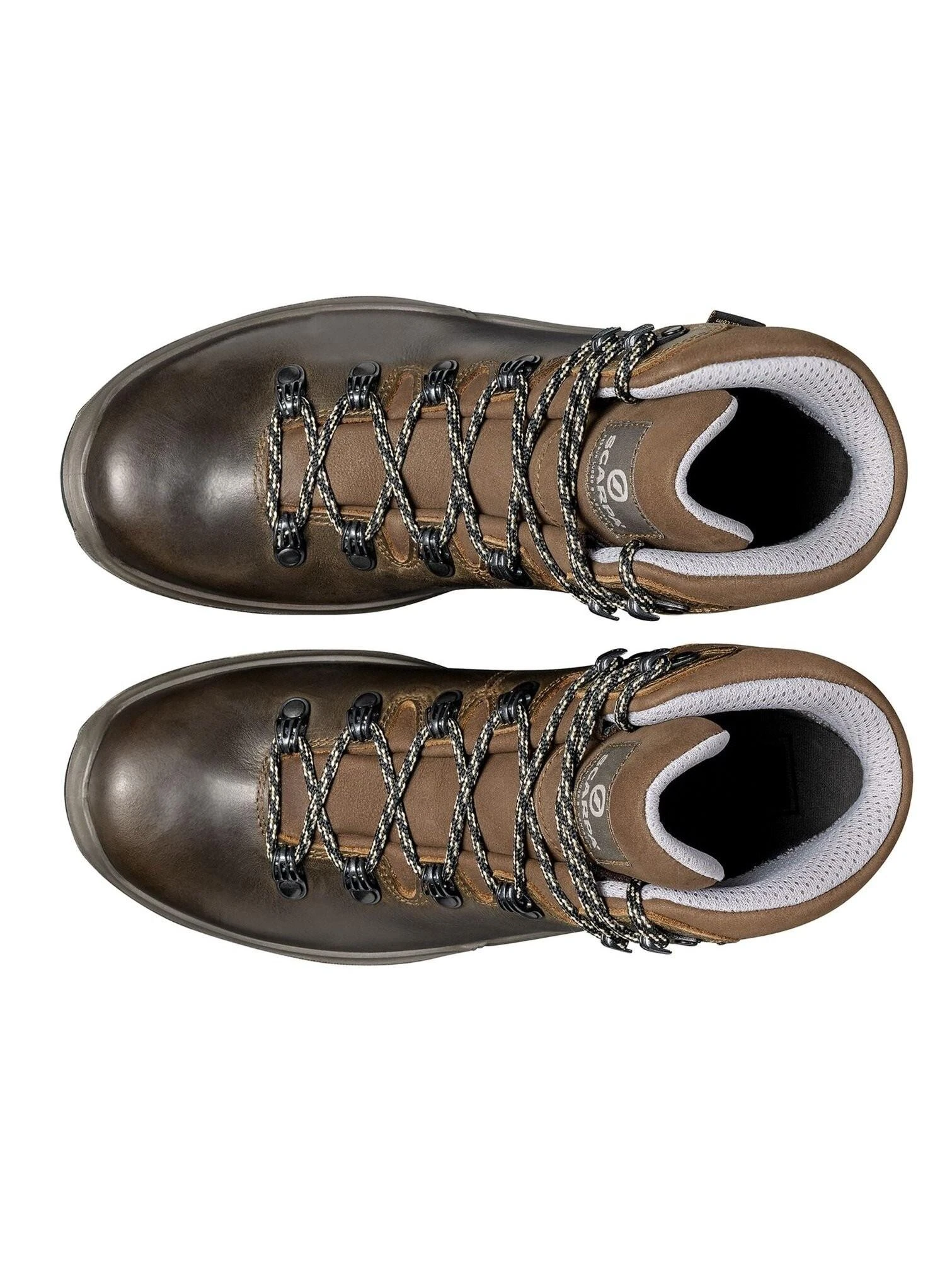 Moteriški žygio batai Scarpa Terra Gtx Wmn - 40.5 - Ruda