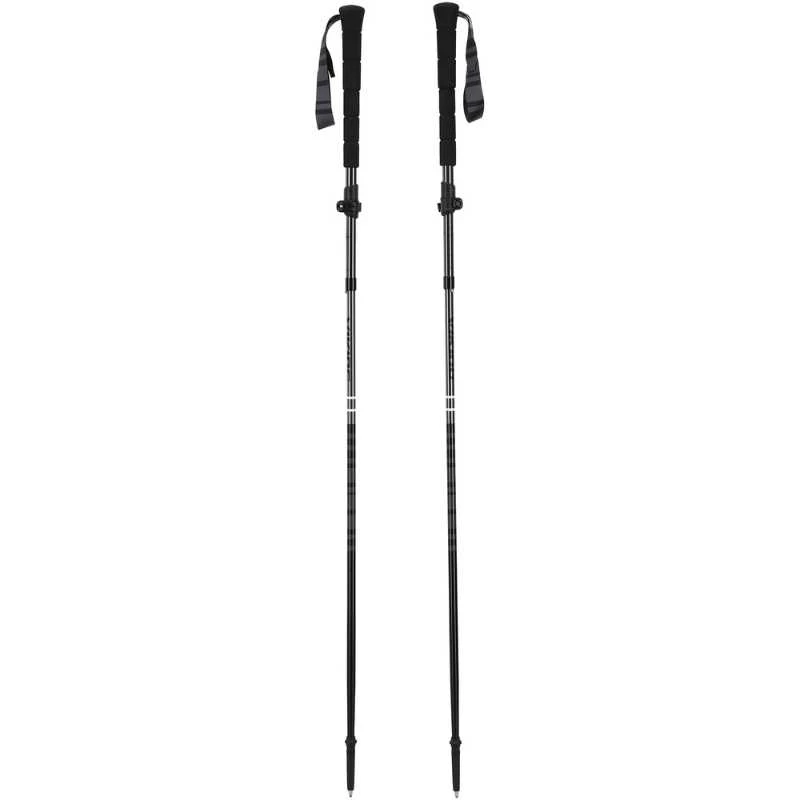 Trekingo lazdos Poles Viking Kettera Pro Long Grip