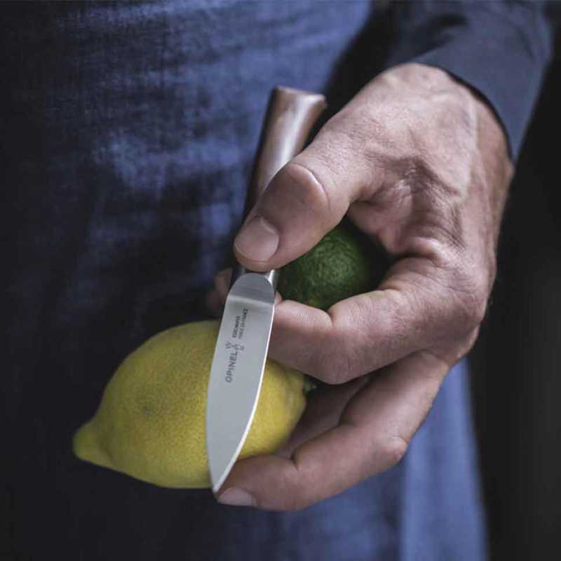 Virtuvinis peilis Opinel Les Forges Paring