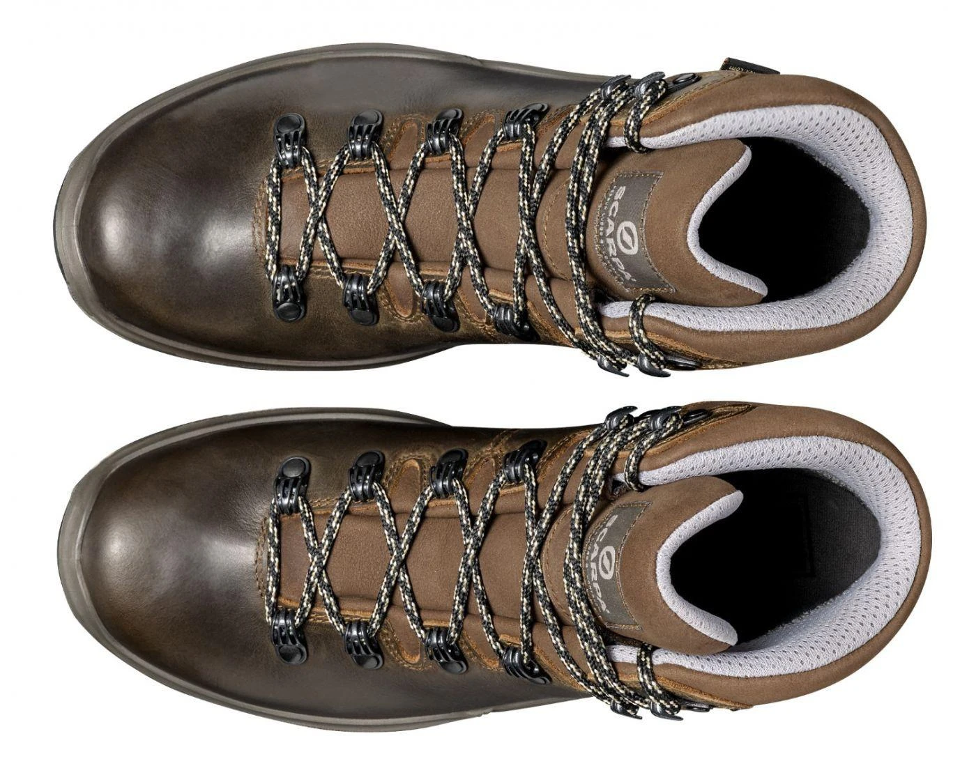 Vyriški žygio batai Scarpa Terra Gtx - 44.5 - Ruda