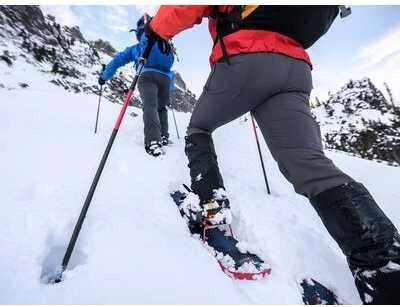 Žygių ir kalnų lazdos MSR Poles DynaLock Ascent Carbon Backcountry