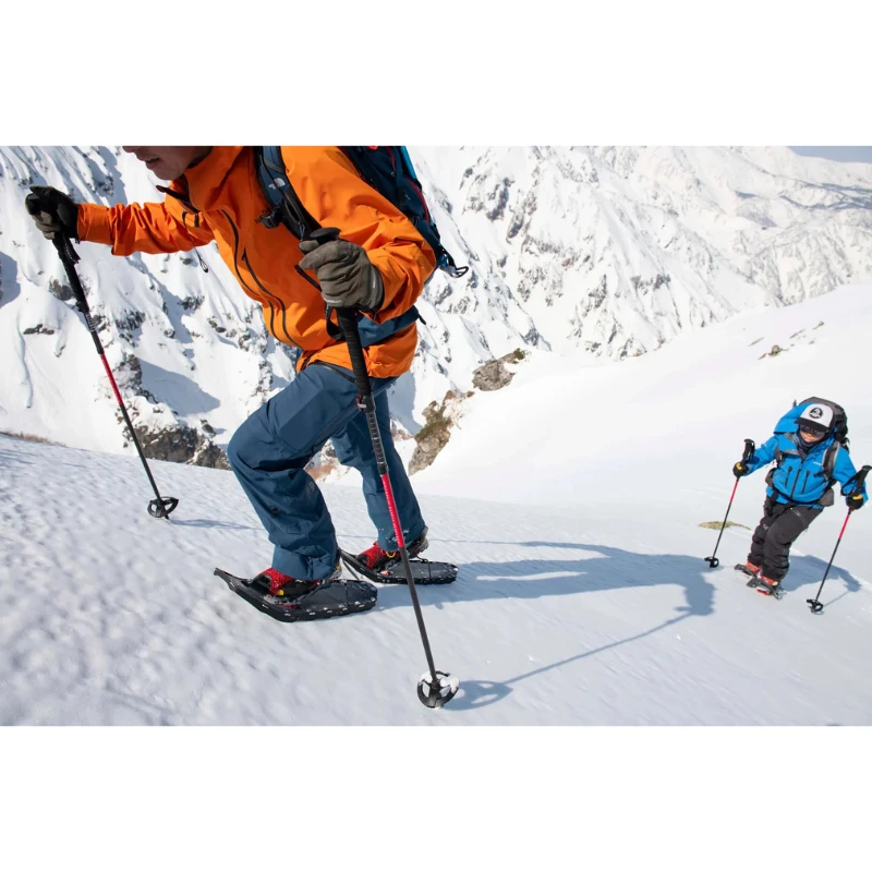 Žygių ir kalnų lazdos MSR Poles DynaLock Ascent Carbon Backcountry