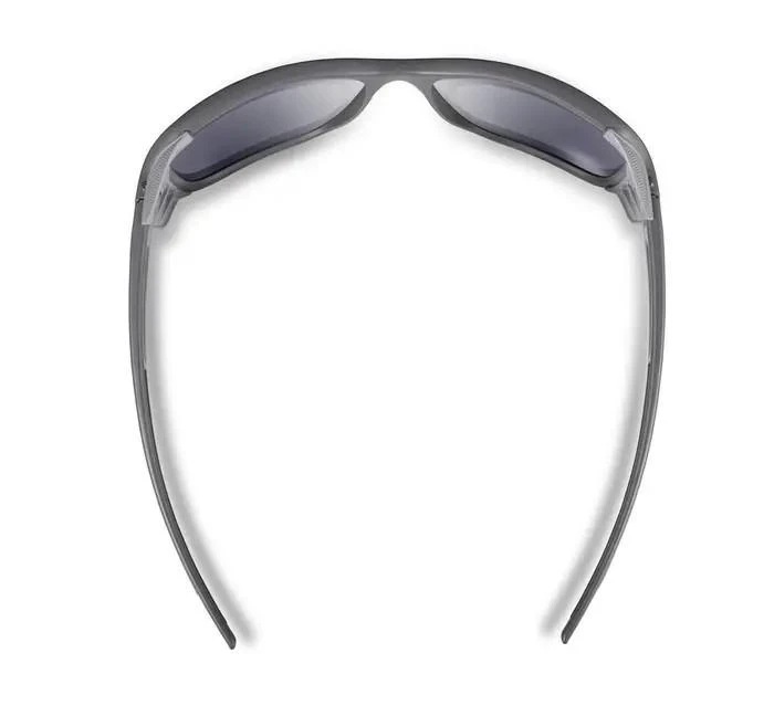 Prancūzija Akiniai Julbo Montebianco 2 dark mėlynas SP4