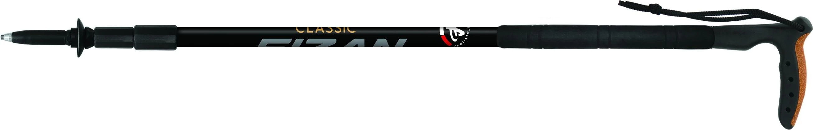Ėjimo lazda Fizan Classic - Juoda