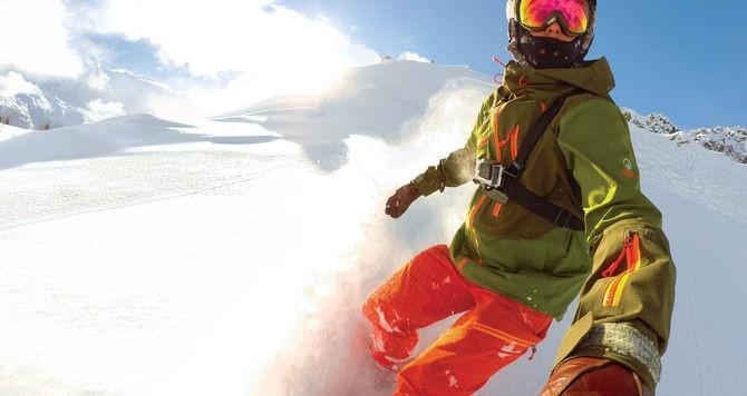 GoPro Gooseneck