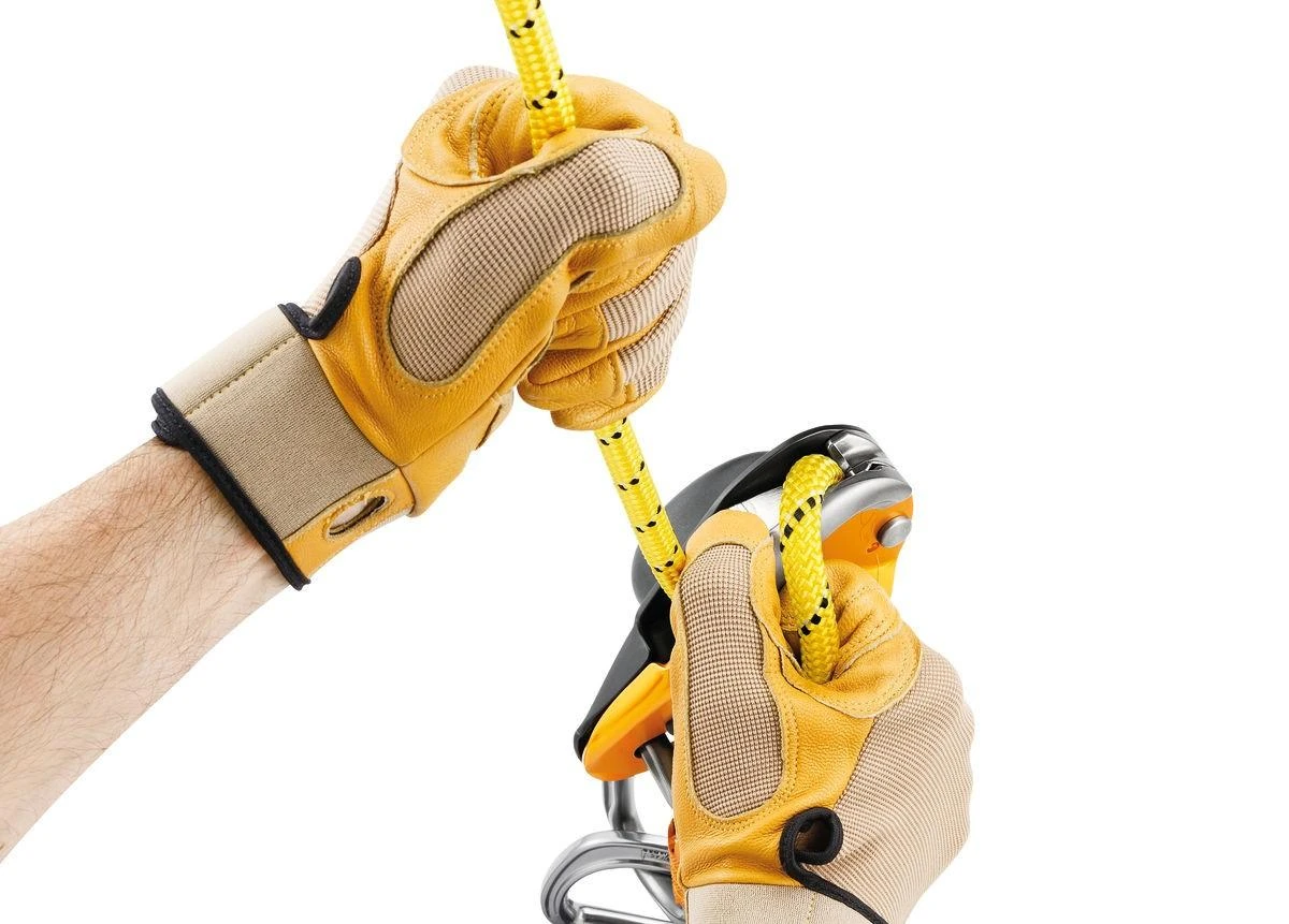 Prancūzija Nusileidimo, saugojimo įrenginys Petzl Rig