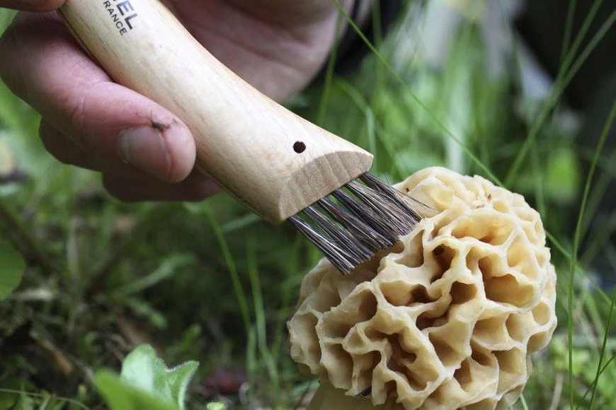 Opinel Nr. 8 peilis grybavimui
