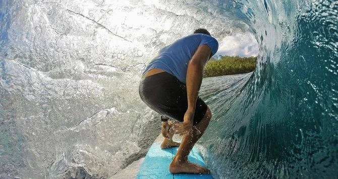 Pultelis GoPro The Remote
