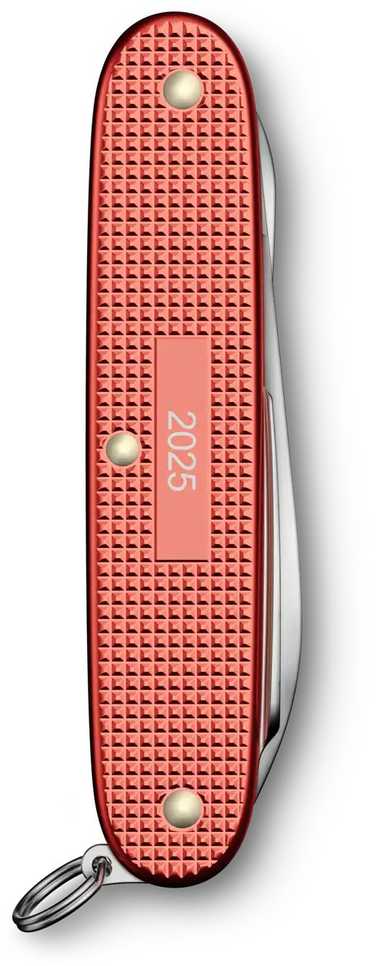 Šveicarija Victorinox Pioneer X Alox Limited Edition 2025