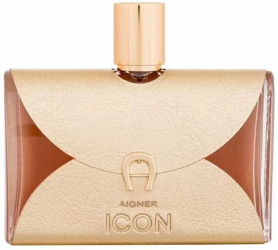 Etienne Aigner Aigner Icon EDP parfumuotas vanduo moterims, 100 ml