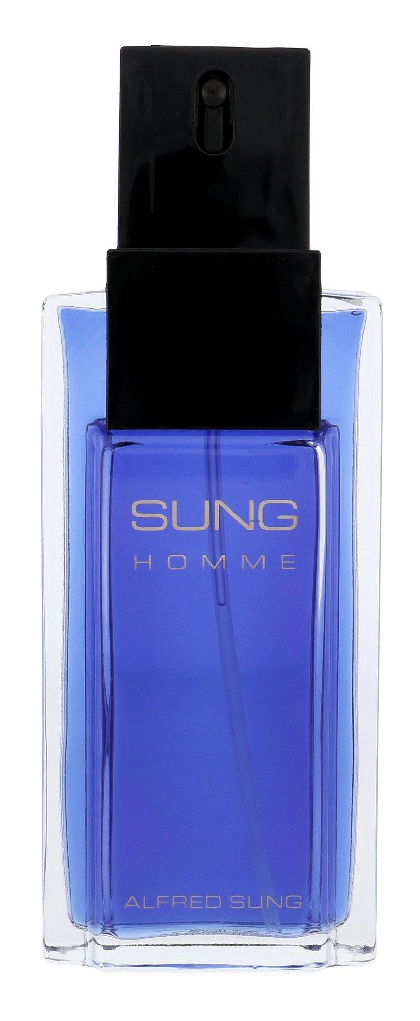 Alfred Sung Sung Homme EDT tualetinis vanduo vyrams, 100 ml