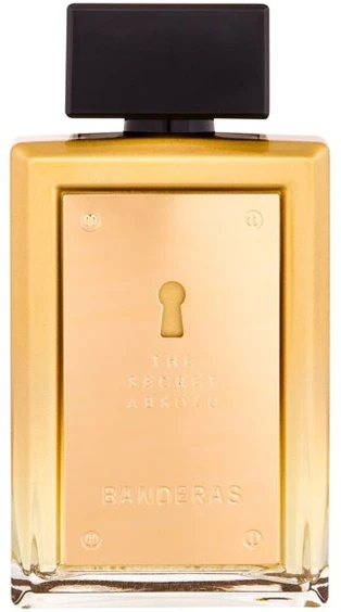 Antonio Banderas The Secret Absolu EDP parfumuotas vanduo vyrams, 100 ml