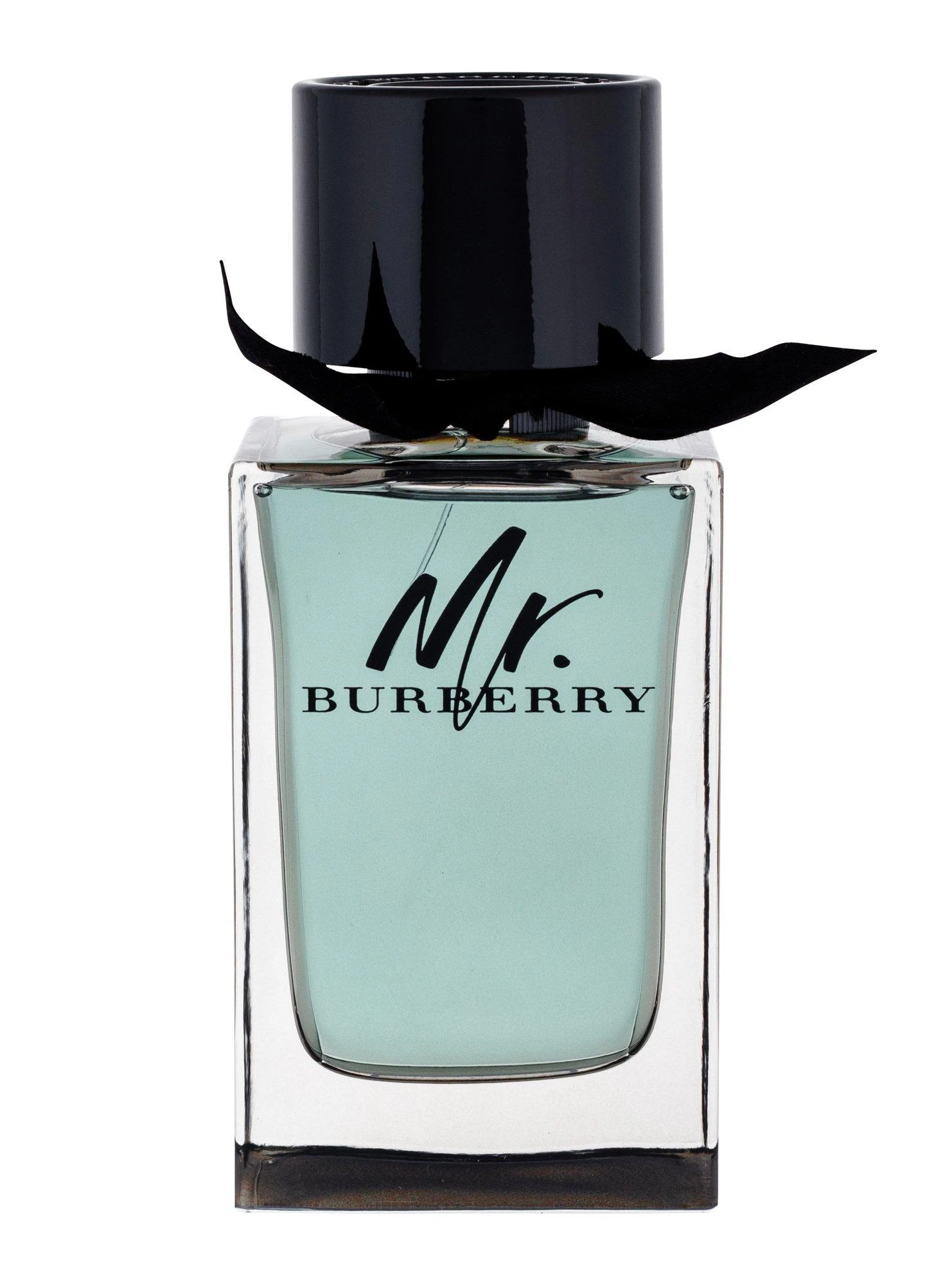 Mr. Burberry EDT tualetinis vanduo vyrams, 150 ml
